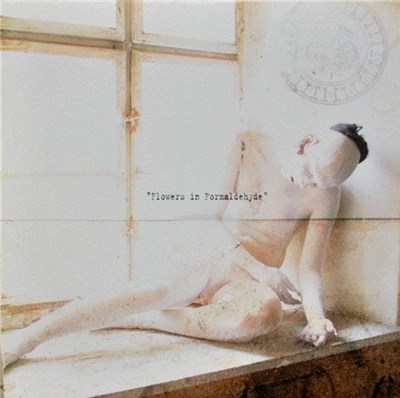 Sopor Aeternus & The Ensemble Of Shadows - Flowers In Formaldehyde download mp3 flac