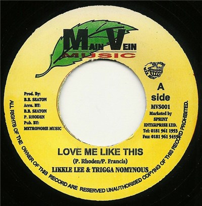 Likkle Lee & Trigga Nomynous / Conscious Minds - Love Me Like This / Karioke Version download mp3 flac