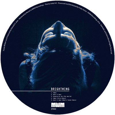 Brightwing - Haunted By You EP download mp3 flac