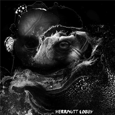 Hermutt Lobby - Mind Safari download mp3 flac