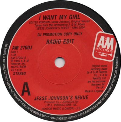 Jesse Johnson's Revue - I Want My Girl download mp3 flac