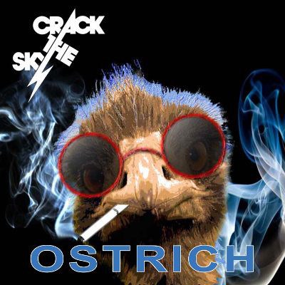 Crack The Sky - Ostrich download mp3 flac