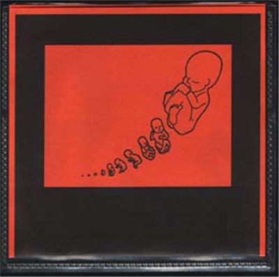 Noma - Apsis download mp3 flac