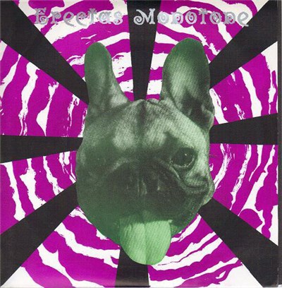 Erectus Monotone - Vertigogo download mp3 flac