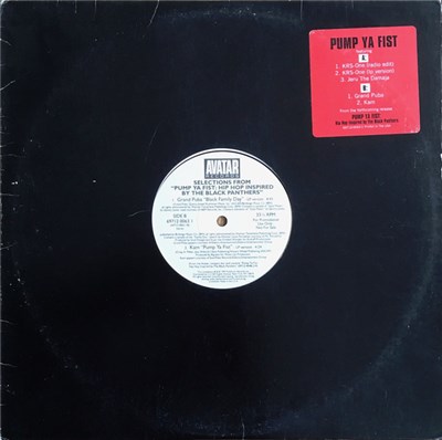 Various - Selections From "Pump Ya Fist: Hip Hop Inspired By The Black Panthers" download mp3 flac