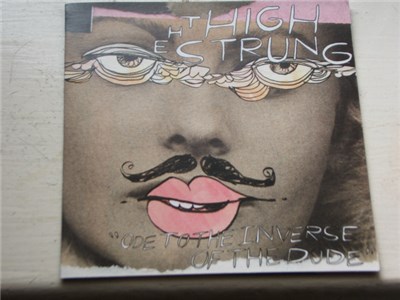 The High Strung - "Ode To The Inverse Of The Dude" download mp3 flac