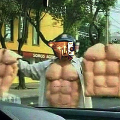 dar5_fluid - musclesforsale (シュワルツェネッガーウェーブ) download mp3 flac