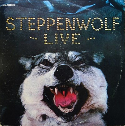Steppenwolf - Live download mp3 flac