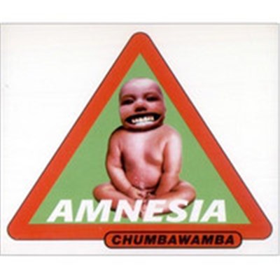 Chumbawamba - Amnesia download mp3 flac