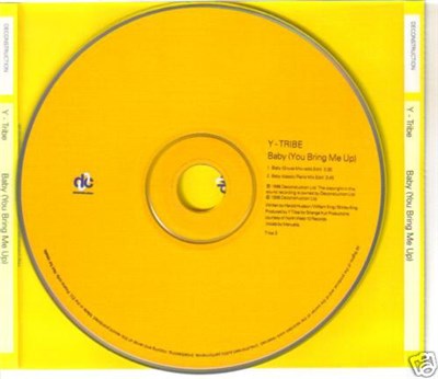 Y-Tribe - Baby (You Bring Me Up) download mp3 flac