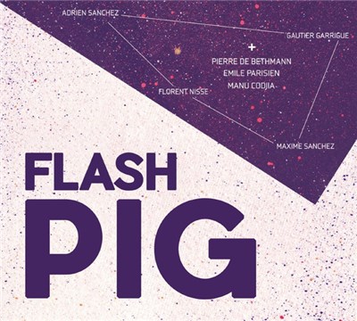 Flash Pig - Flash Pig download mp3 flac