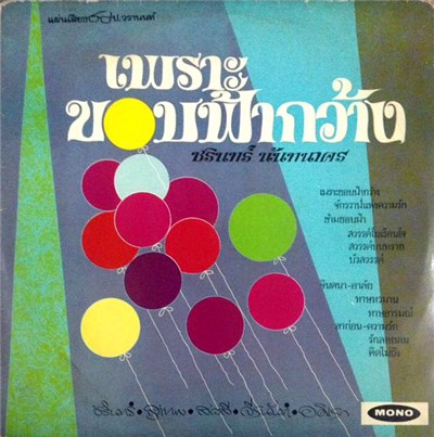 ชรินทร์ นันทนาคร - เพราะขอบฟ้ากว้าง download mp3 flac