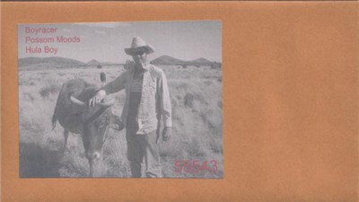 Boyracer / Possum Moods / Hulaboy - Boyracer / Possum Moods / Hulaboy download mp3 flac