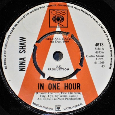 Nina Shaw - In One Hour download mp3 flac