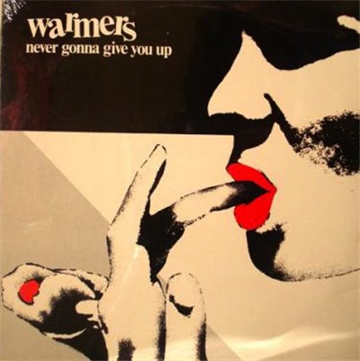 The Warmers - Never Gonna Give You Up download mp3 flac