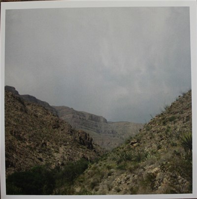 Xiu Xiu - Quagga download mp3 flac