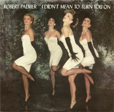 Robert Palmer - I Didn't Mean To Turn You On download mp3 flac