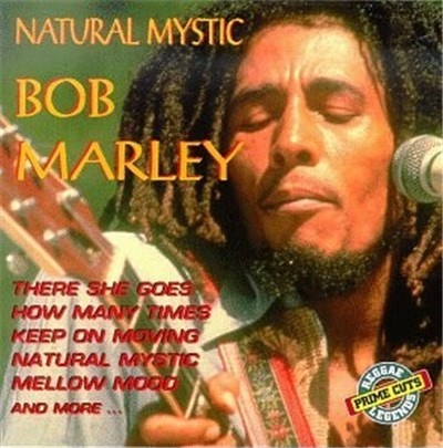 Bob Marley - Natural Mystic download mp3 flac