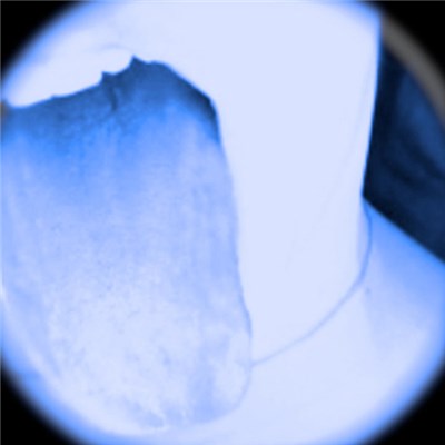 Casually Dating - Mistakes download mp3 flac
