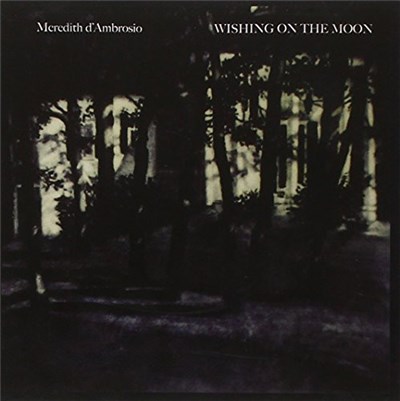 Meredith d'Ambrosio - Wishing On The Moon download mp3 flac