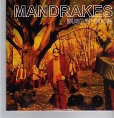 T. Mandrakes - Bust 'N' Boom download mp3 flac