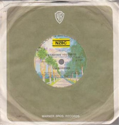 Van Morrison - Ain't Nothin' You Can Do download mp3 flac