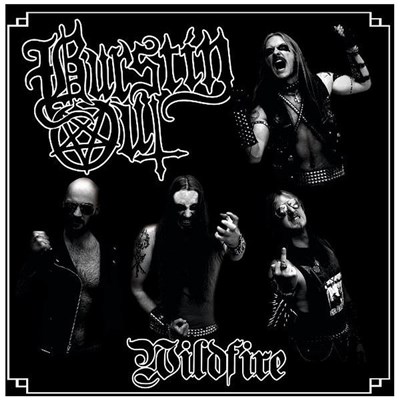 Burstin' Out - Wildfire download mp3 flac