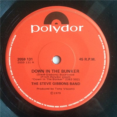 The Steve Gibbons Band - Down In The Bunker download mp3 flac