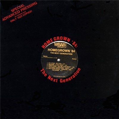 Various - Homegrown '84: The Next Generation download mp3 flac
