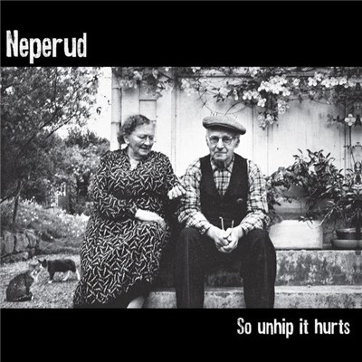 Neperud - So Unhip It Hurts download mp3 flac