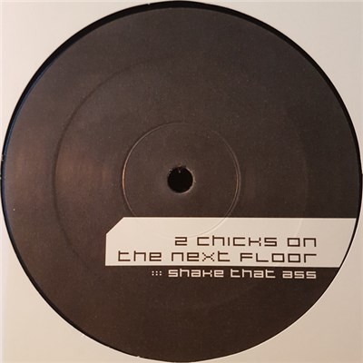 Two Chicks On The Next Floor - Shake That Ass download mp3 flac