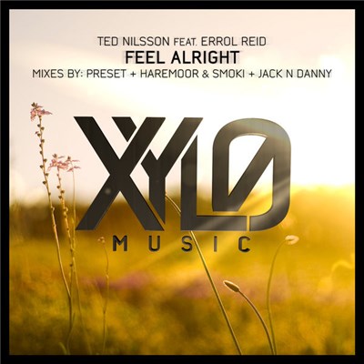 Ted Nilsson Feat. Errol Reid - Feel Alright download mp3 flac