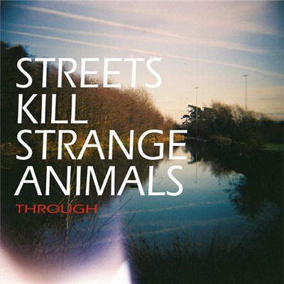 Streets Kill Strange Animals - Through download mp3 flac