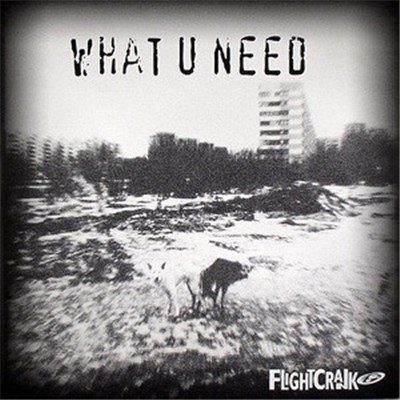 Flightcrank - What U Need download mp3 flac