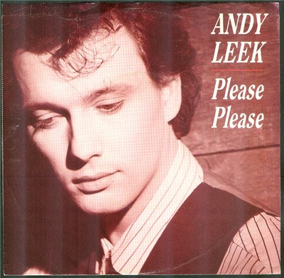 Andy Leek - Please Please download mp3 flac