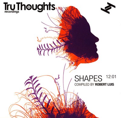 Robert Luis - Shapes 12:01 download mp3 flac