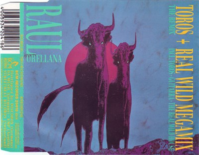 Raul Orellana - Toros / Real Wild Megamix download mp3 flac