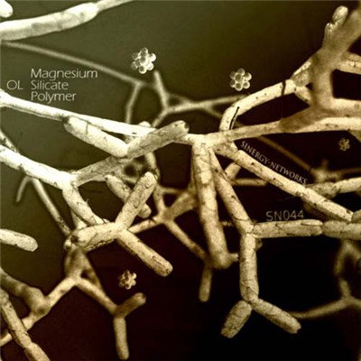 Ol - Magnesium Silicate Polymer download mp3 flac