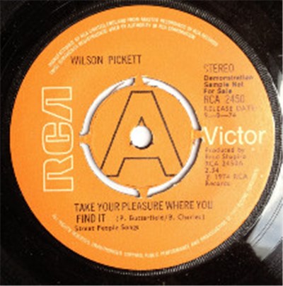 Wilson Pickett - Take Your Pleasure Where You Find It download mp3 flac