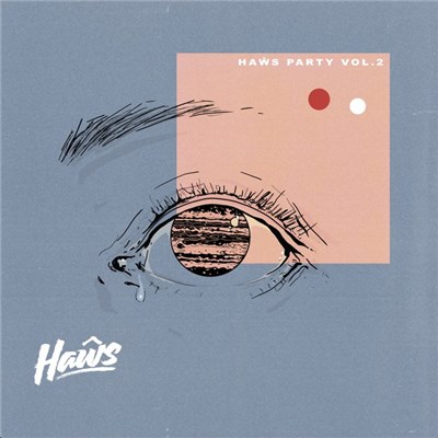 Various - Haŵs Party Vol. 2 download mp3 flac