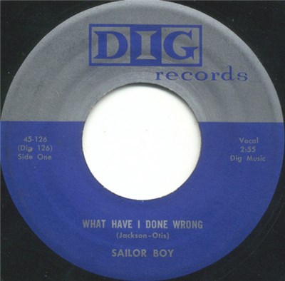 Sailor Boy - What Have I Done Wrong download mp3 flac