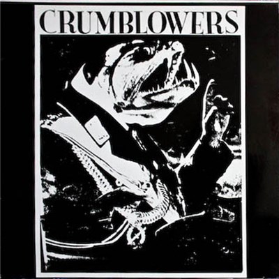 Crumblowers - Llithro Mewn I Ffantasi download mp3 flac