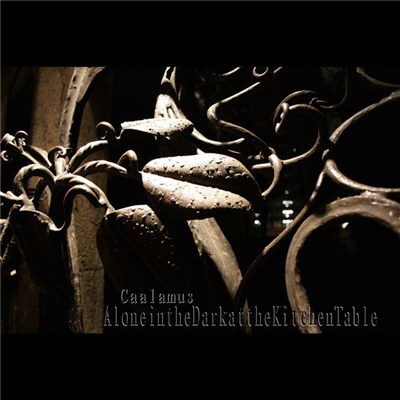 Caalamus - Alone In The Dark, At The Kitchen Table​.​.​. download mp3 flac