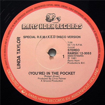 Linda Taylor - (You're) In The Pocket download mp3 flac