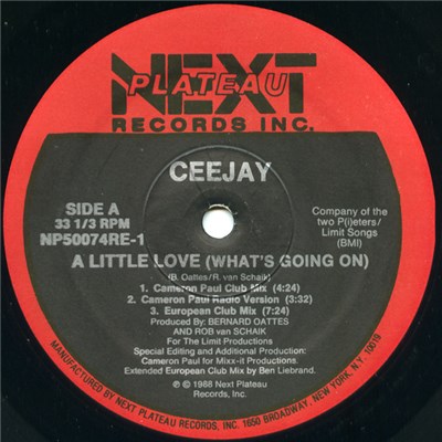 Ceejay - A Little Love (What's Going On) download mp3 flac