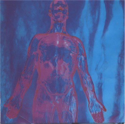 Nirvana - Sliver download mp3 flac