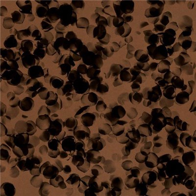 Ada Kaleh - Dene Descris (Reinterpretări II) download mp3 flac