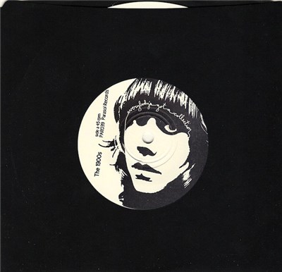 The 1900s - Everybody's Got A Collection download mp3 flac