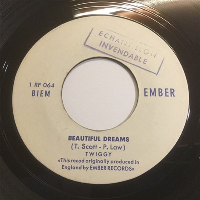 Twiggy - Beautiful Dreams / I Need Your Hand In Mine download mp3 flac