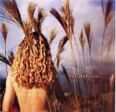 Sophie B. Hawkins - Wilderness download mp3 flac
